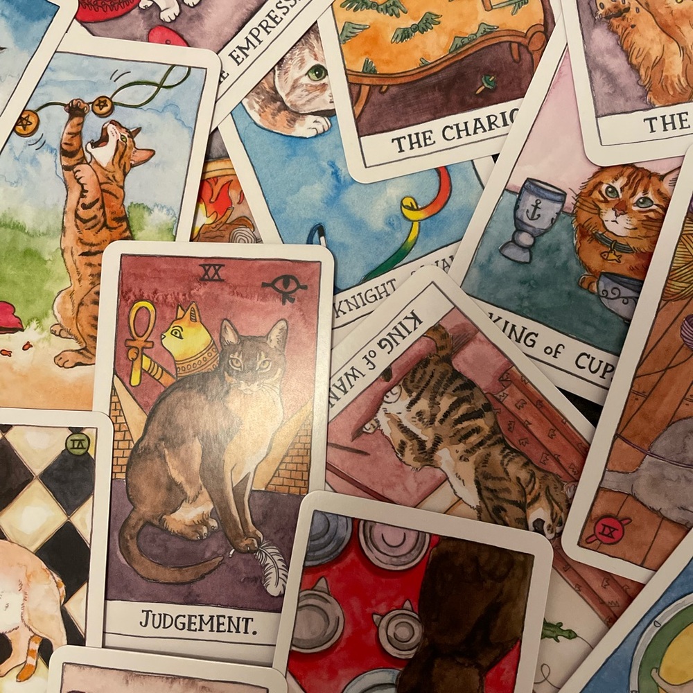 Cat Tarot Card Deck